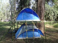/album/grupo-scout-49/a224263-257508461018853-787200499-n-jpg/